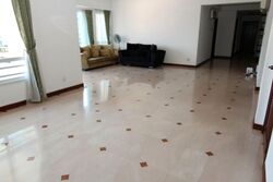 Parkshore (D15), Condominium #552472981